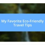 My Favorite Eco-Friendly Travel Tips