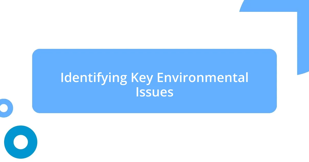 Identifying Key Environmental Issues